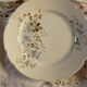 10 porcelain dessert plates xixth century