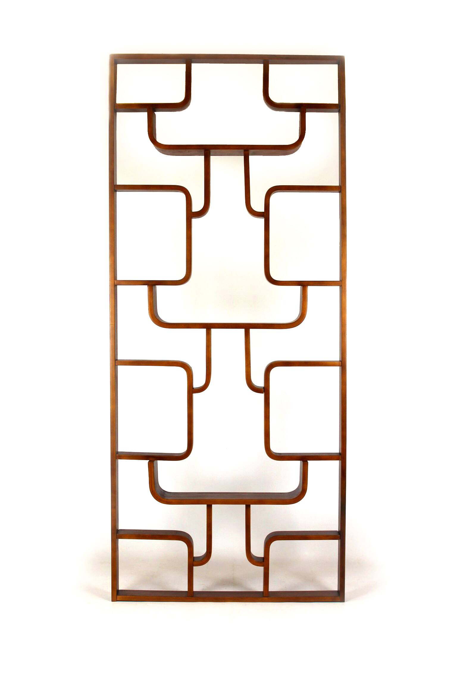 Restored Mid-Century Room Divider by Ludvik Volak for Drevopodnik Holesov, 1960s