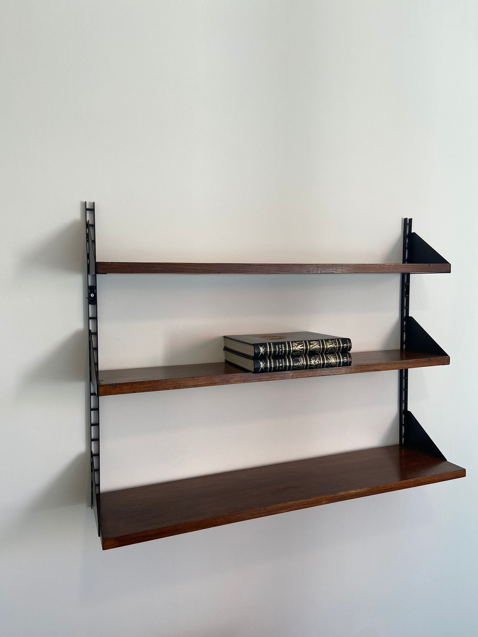 Shelves in rosewood and black lacquered metal from the 50s