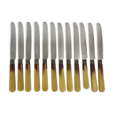 12 Art Deco Bakelite handle knives