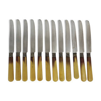 12 Art Deco Bakelite handle knives