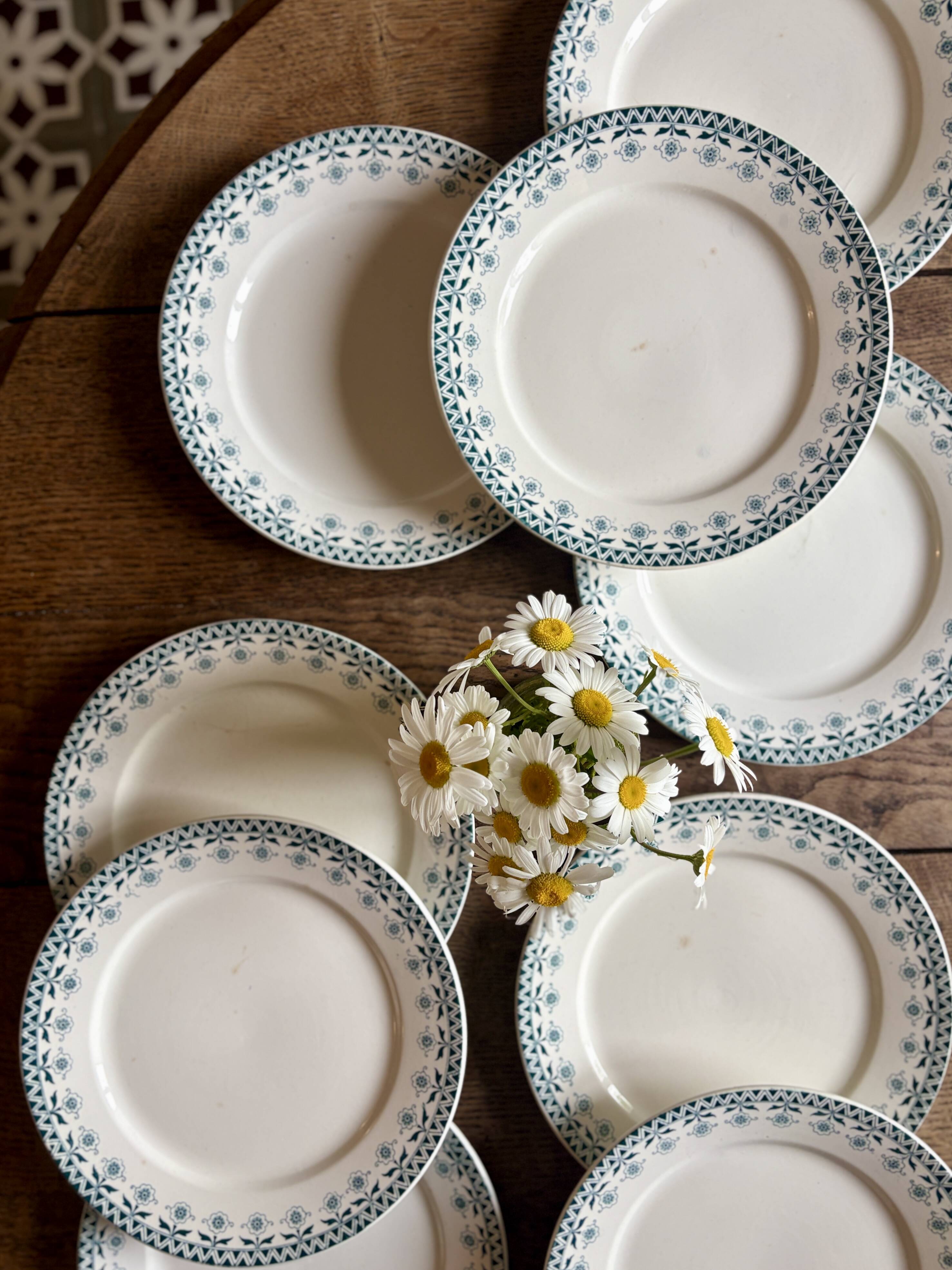 Set of 10 vintage ironstone plates by Henry of Sarreguemines.