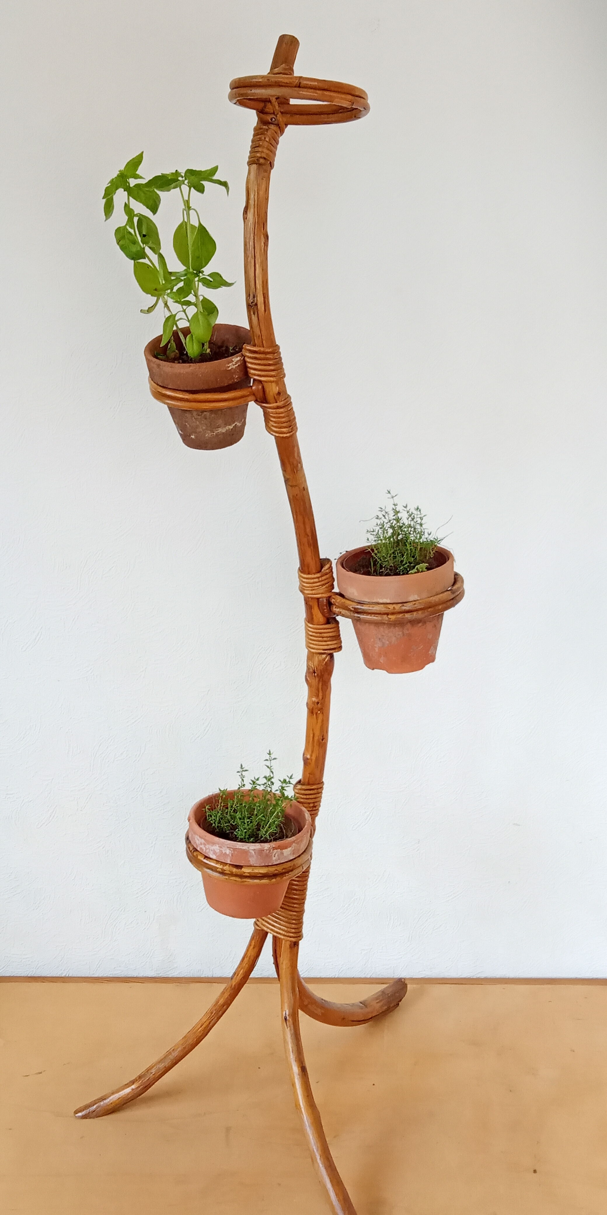 Rattan plant holder 50s