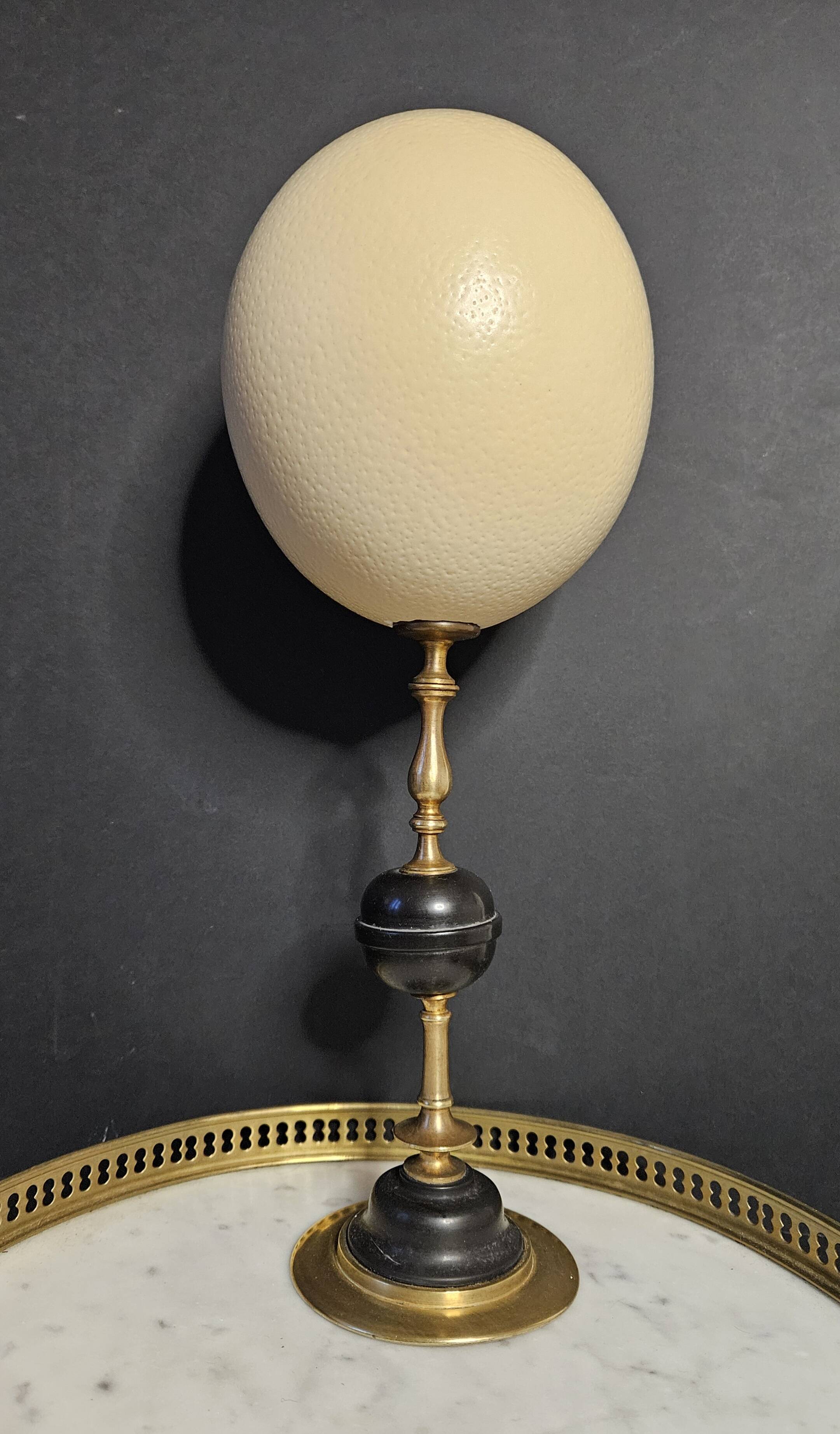 Ostrich Egg, Brass and Black Marble Base (20th century) H: 35 cm | Collection