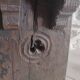 Brutalist monastic stool in solid oak