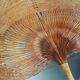 Grande palme en osier des années 60