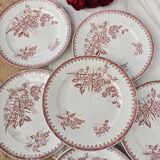 Margot Terre de Fer dinner plates