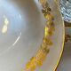 Set of 6 vintage hollow plates Moulin des Loups