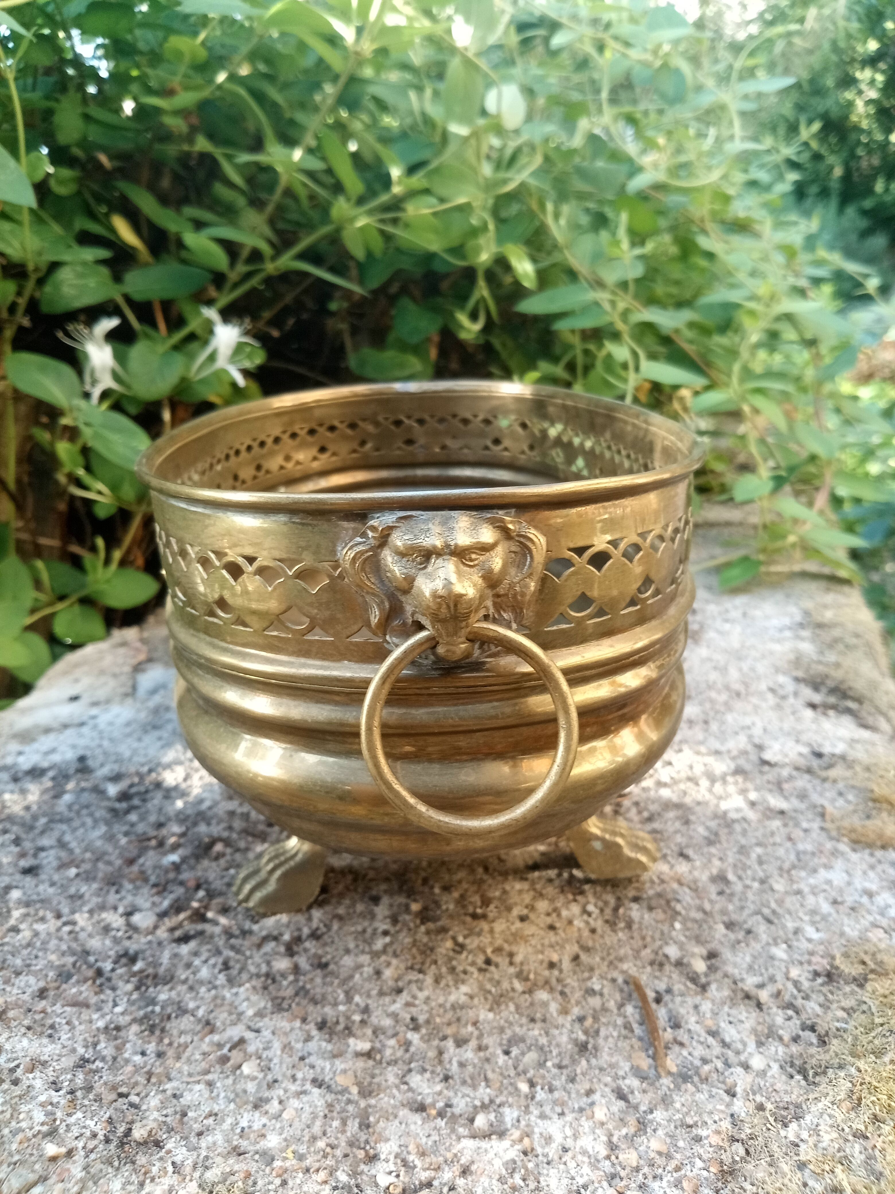 Large brass lion planter Art Nouveau