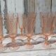 Flûtes à champagne Rosaline lot de 12