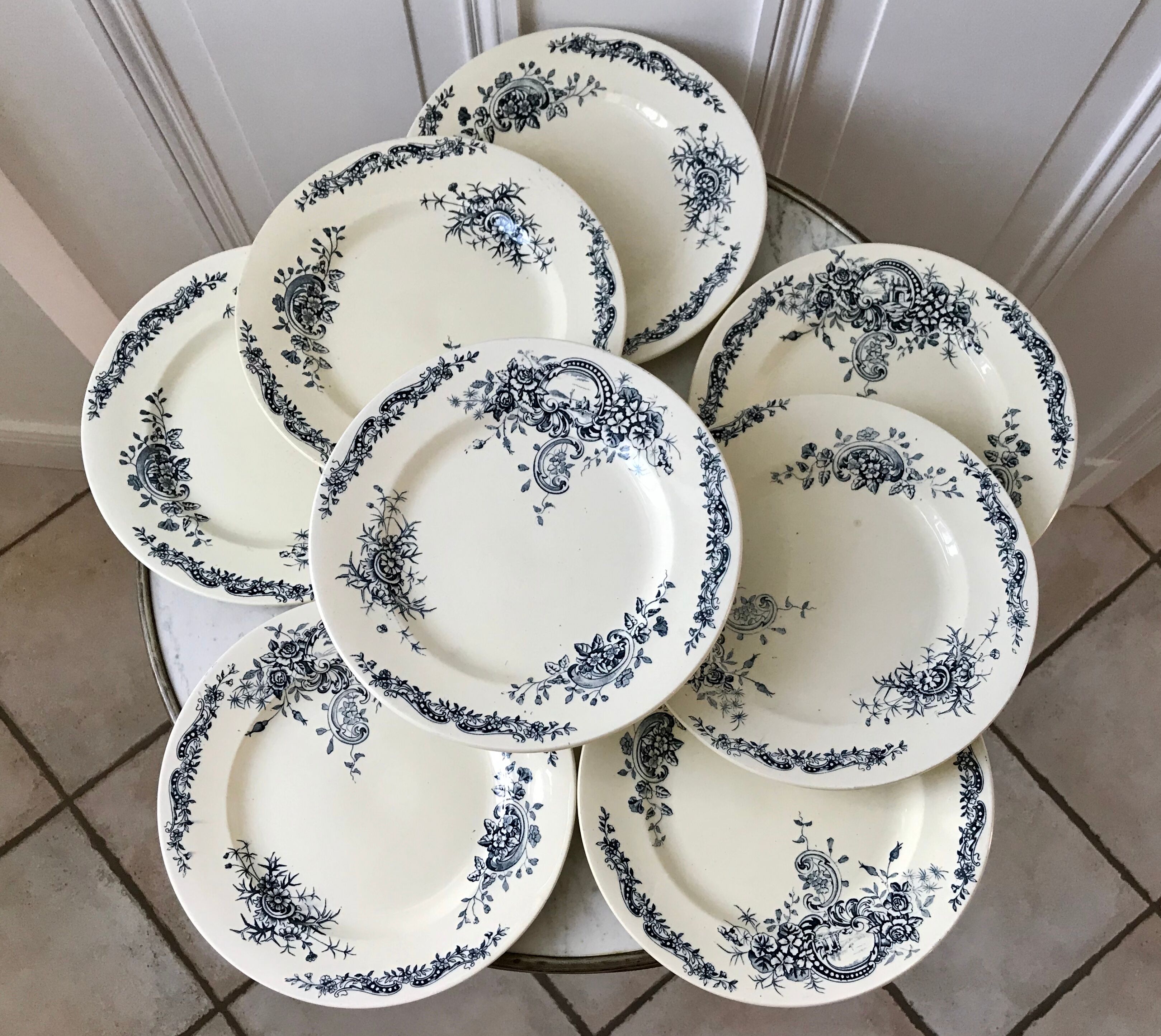 Set of 8 flat plates Terre de Fer Salins model "Rocailles" late nineteenth