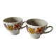 Vintage Winterling espresso cup duo, 70s floral design.