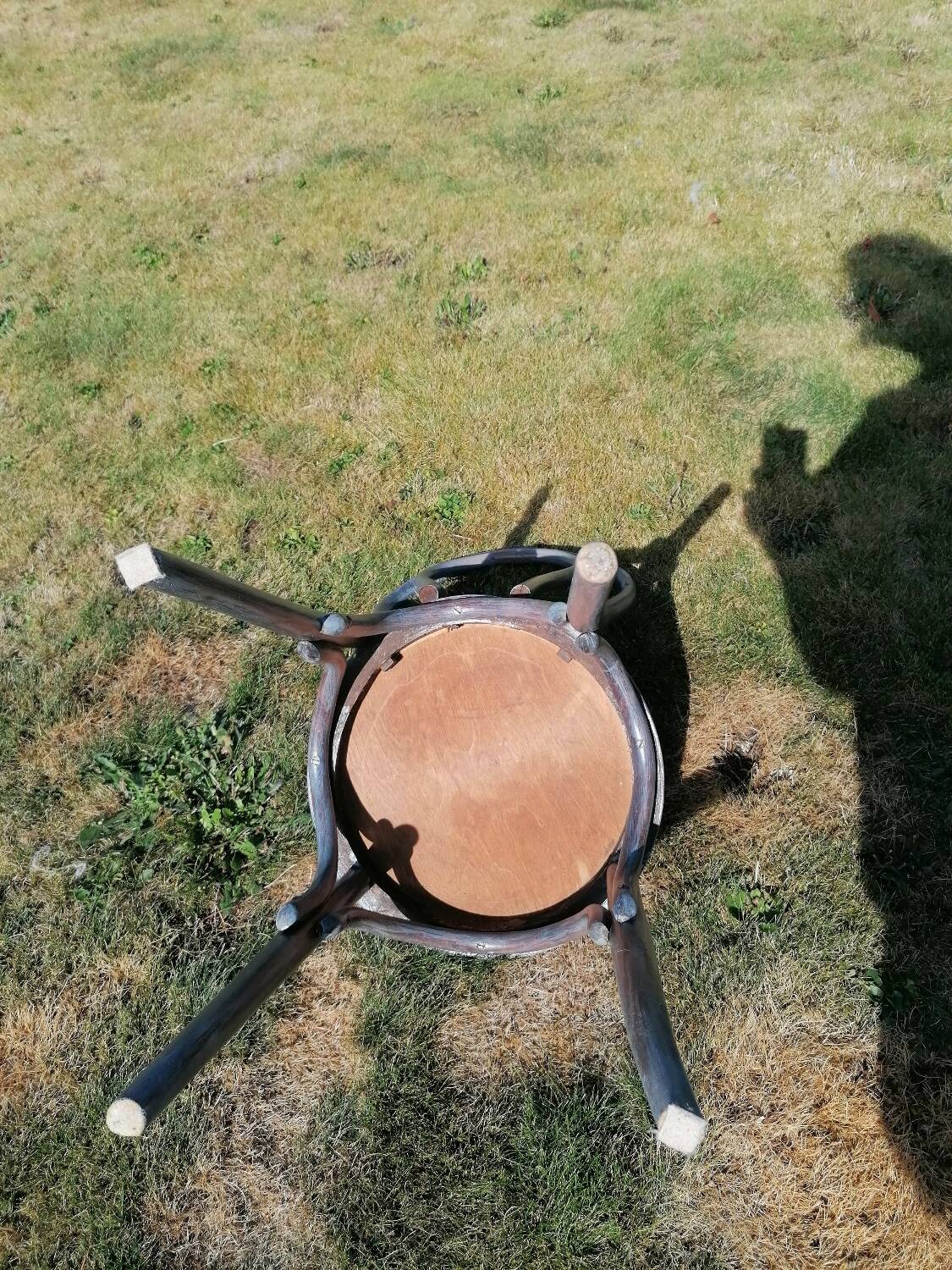 Fischel bistro chair