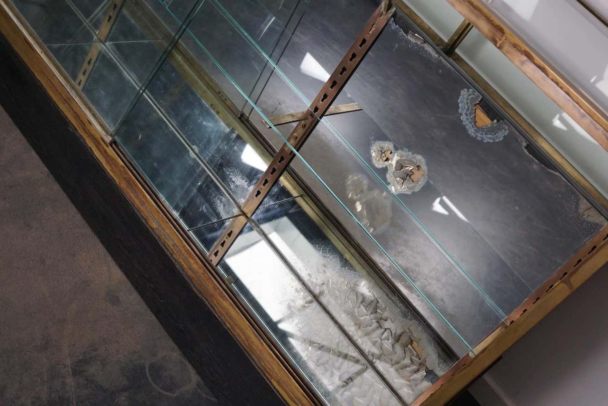 Counter or shop window in oak glass and brass France around 1920
