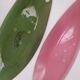 Lot de 2 vide poche Boch Keralux Cordaline