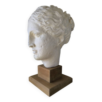 Antique-style female head in plaster