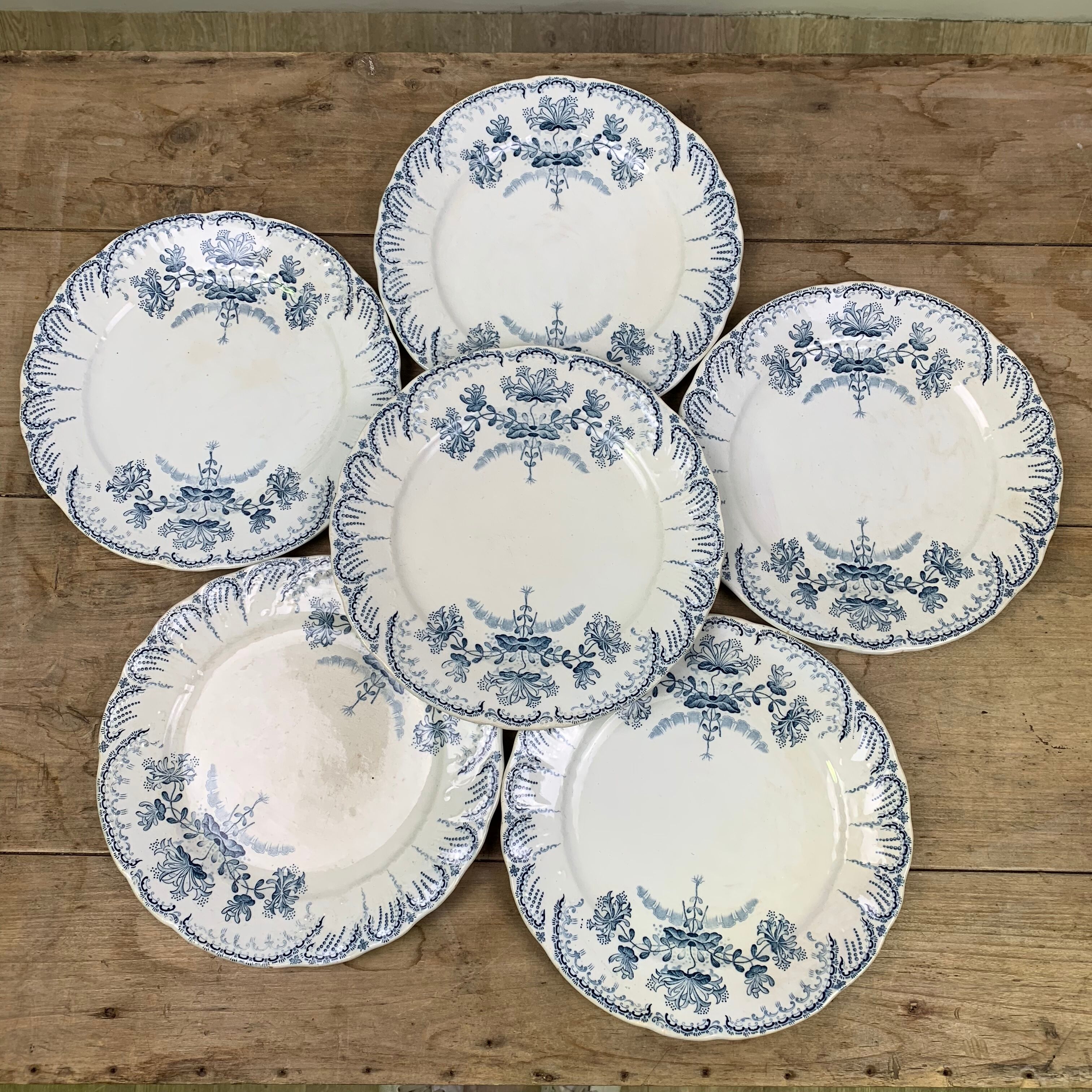 Set of 6 Saint Amand plates , Regency