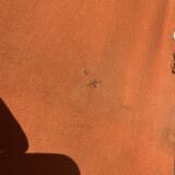 Vintage sunbathing deckchair 70S