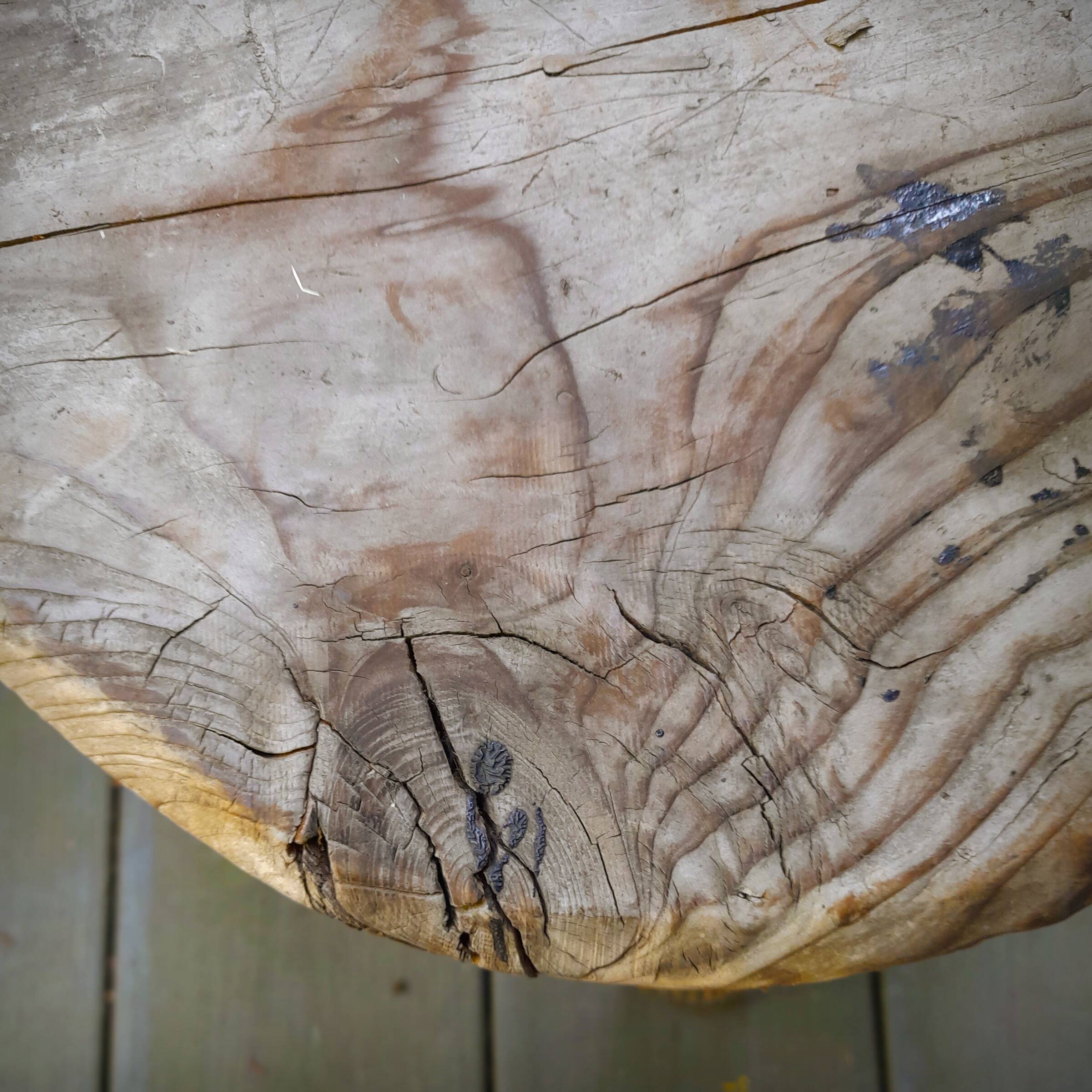 Pair of brutalist tripod stools in grayed pine. France, 1950s
