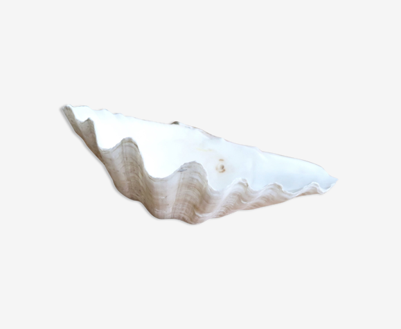 Vide poche coquillage, années 70