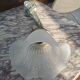 Pair of Art Deco wall lamps glass and metal