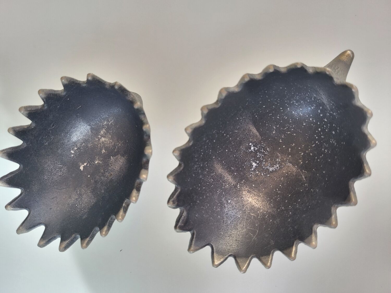 Hedgehog Walter Bosse