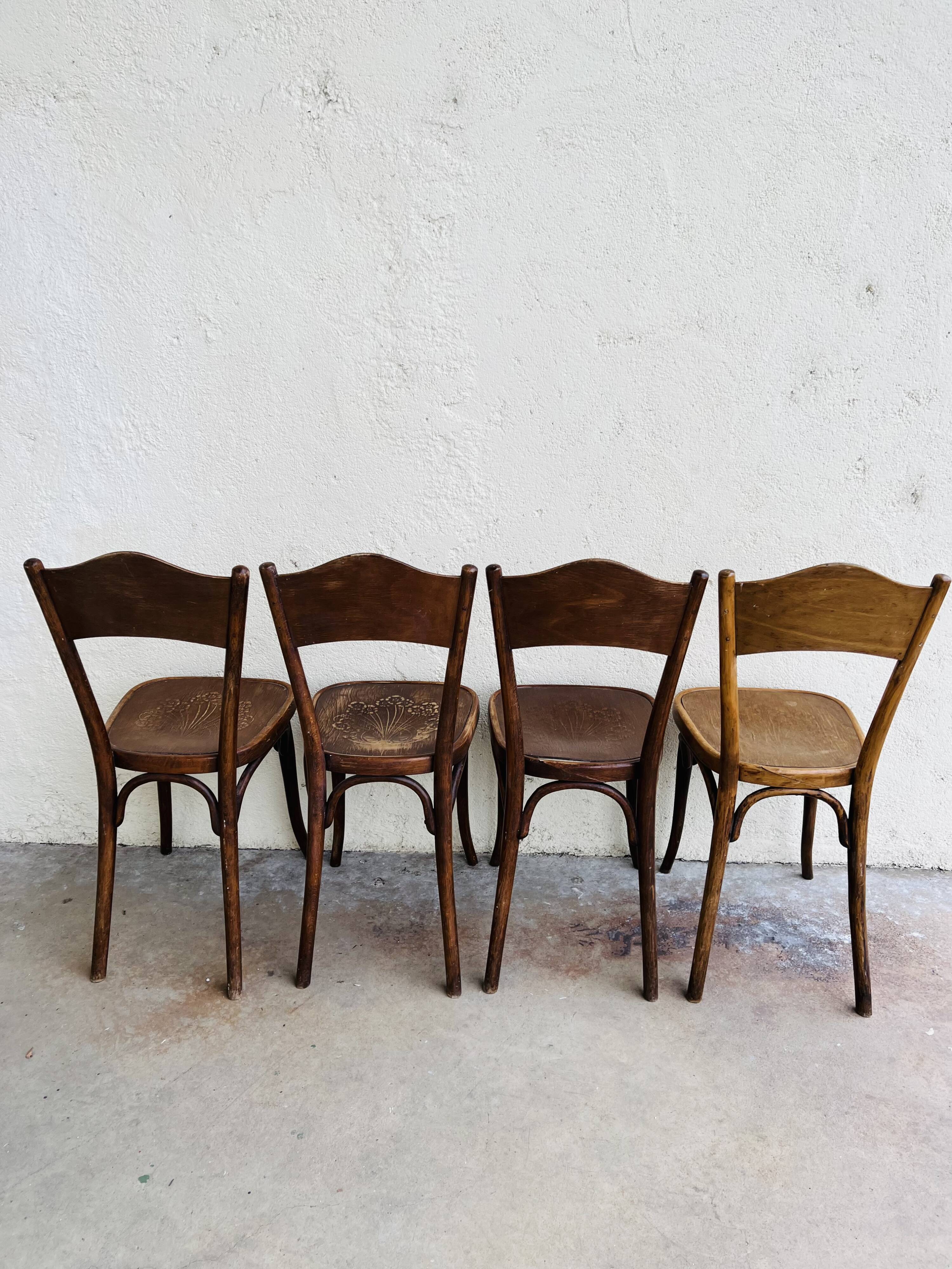 Chairs bistrot thonet