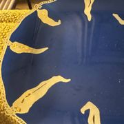 Hilton Mc Connico plate