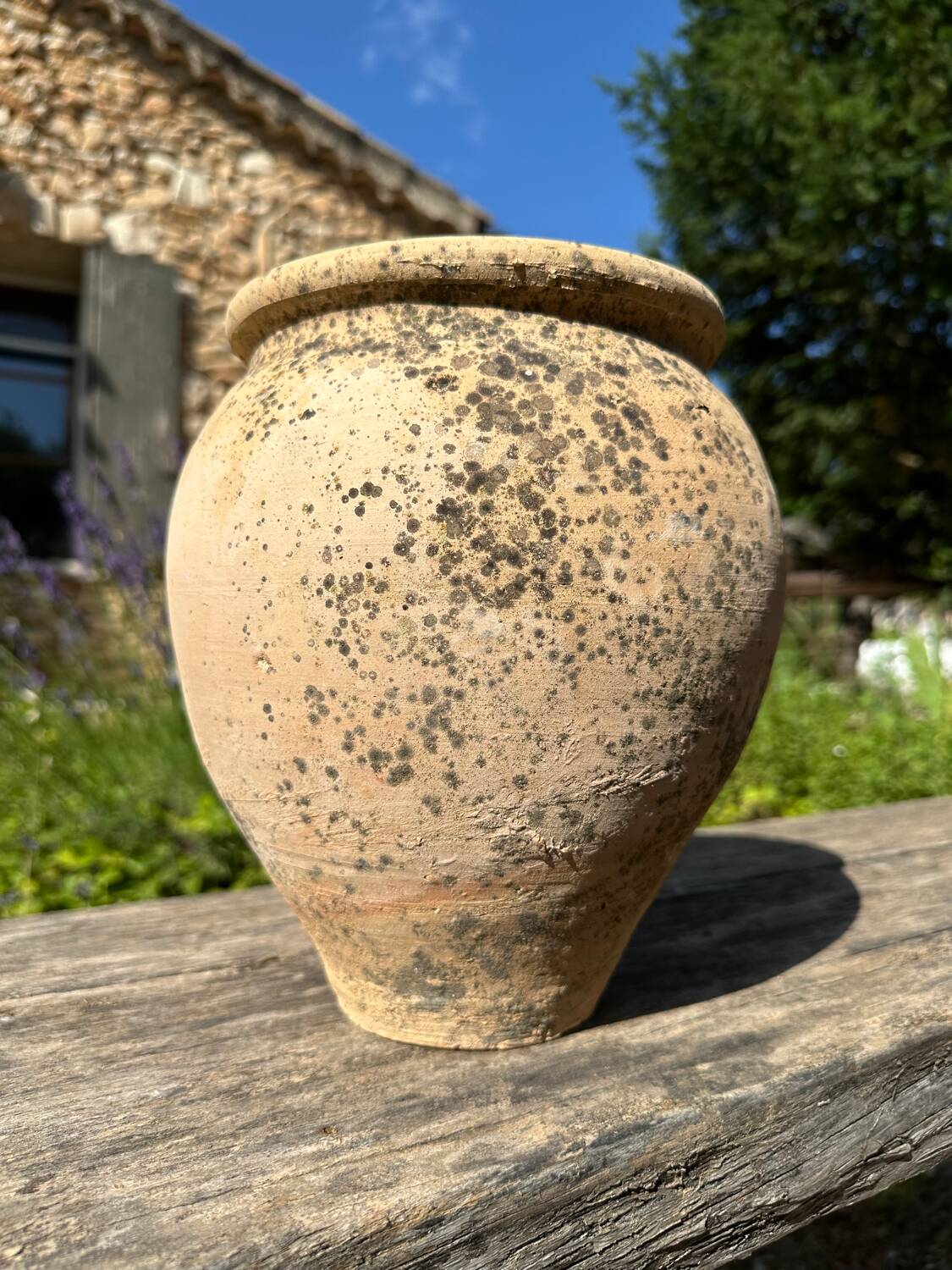 Terracotta Palomera