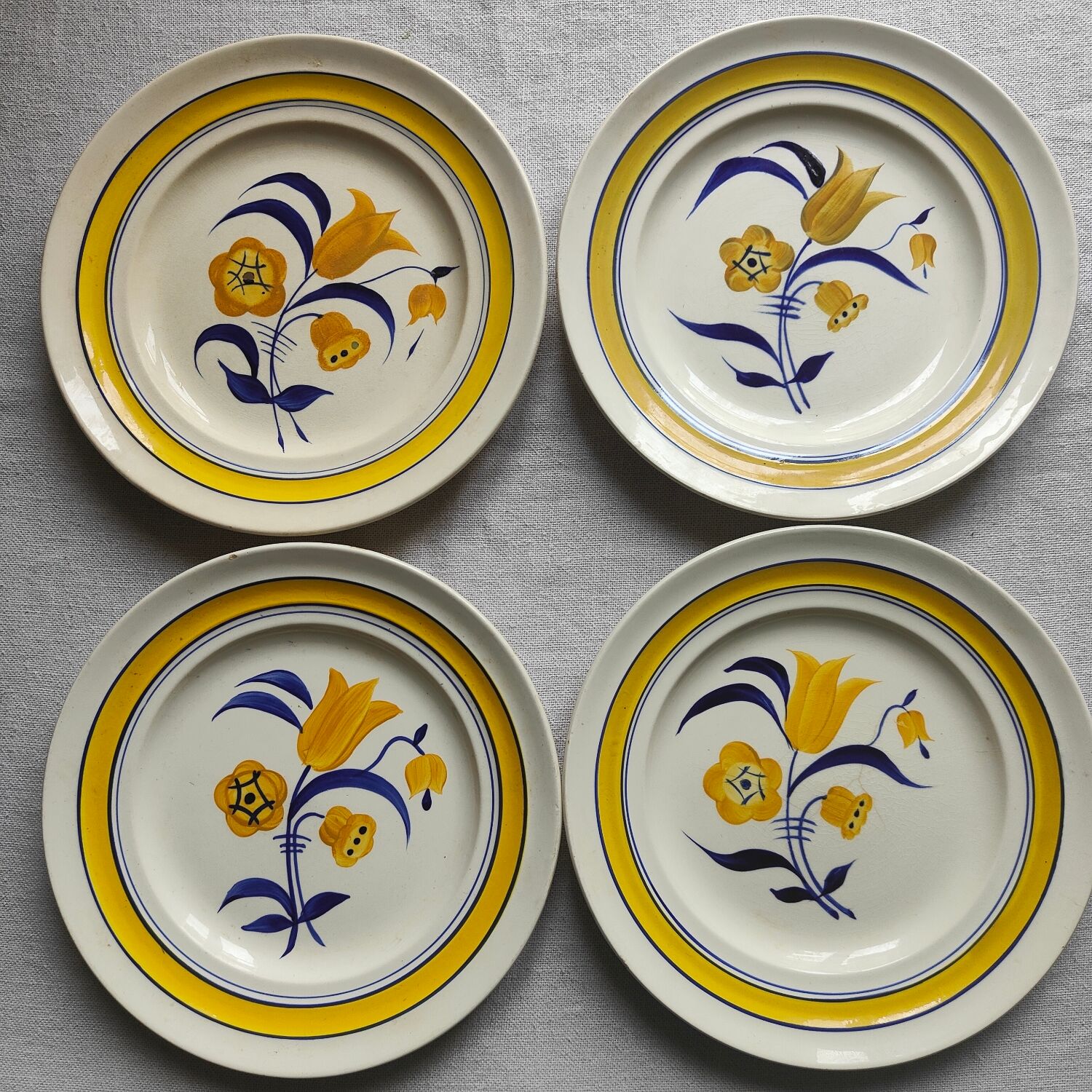 Boch frères iron earth plates