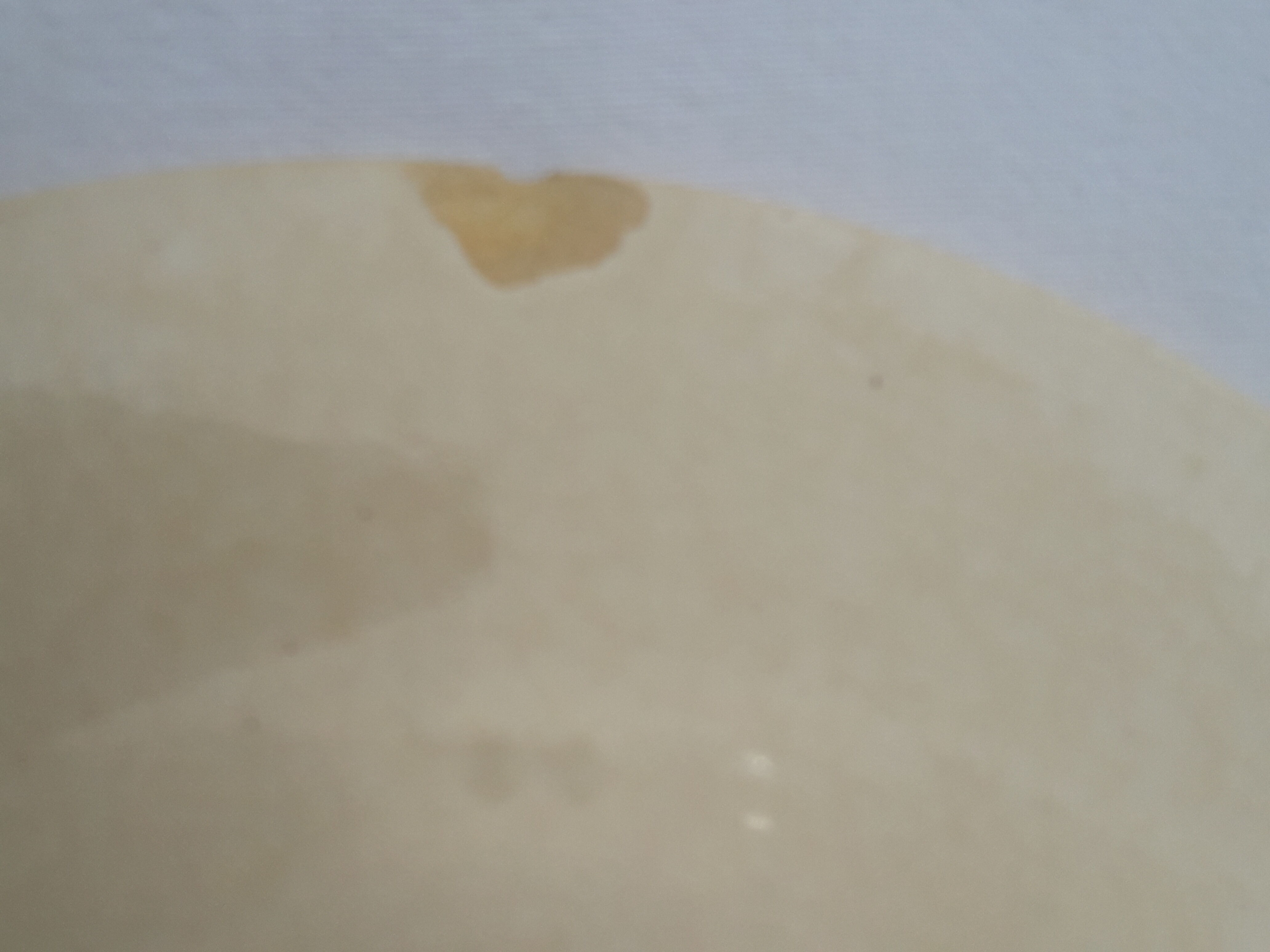 Gien's opaque porcelain hollow plate Mangalore Diam 23 cm