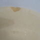 Gien's opaque porcelain hollow plate Mangalore Diam 23 cm