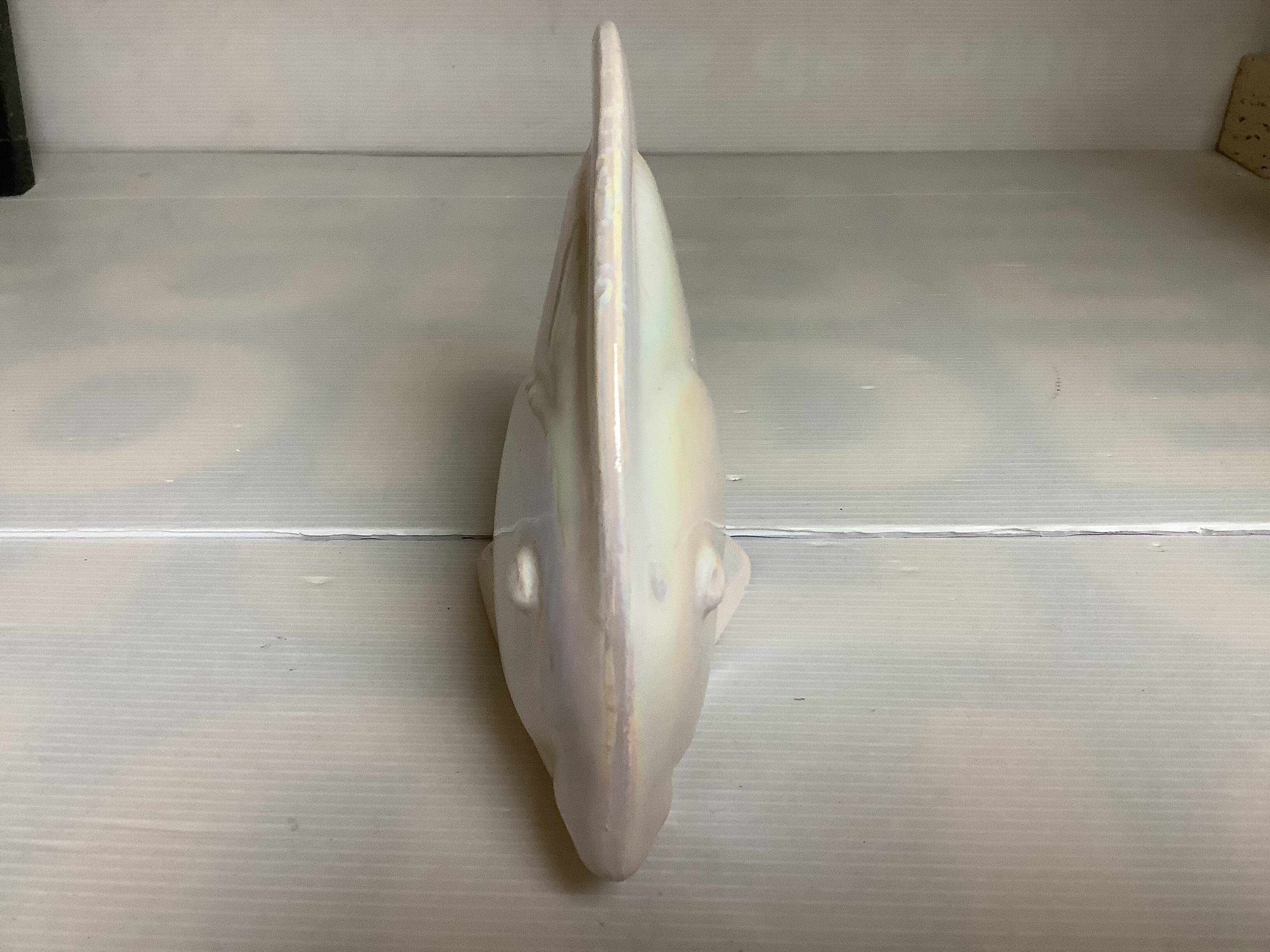 Iridescent white fish