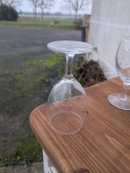 Wine glasses