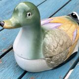 Duck in slip