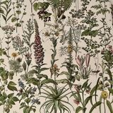 Lithograph on medicinal plants (absinthe) - 1930