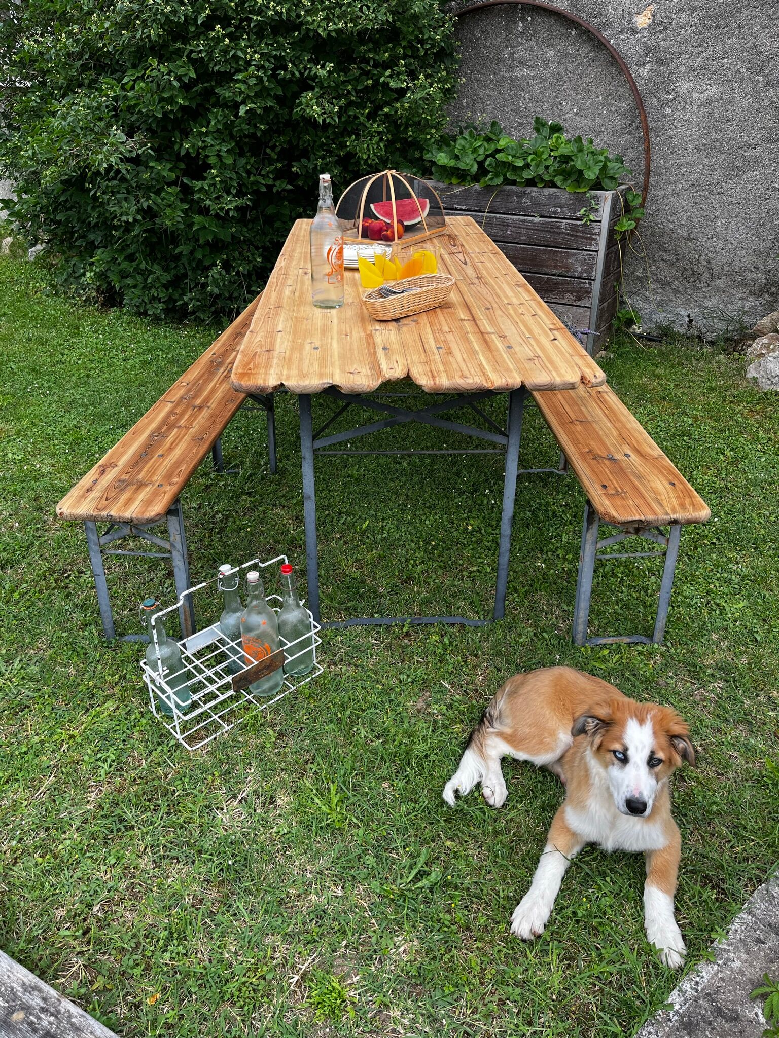 Guinguette table and benches