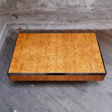 Elm magnifying glass coffee table