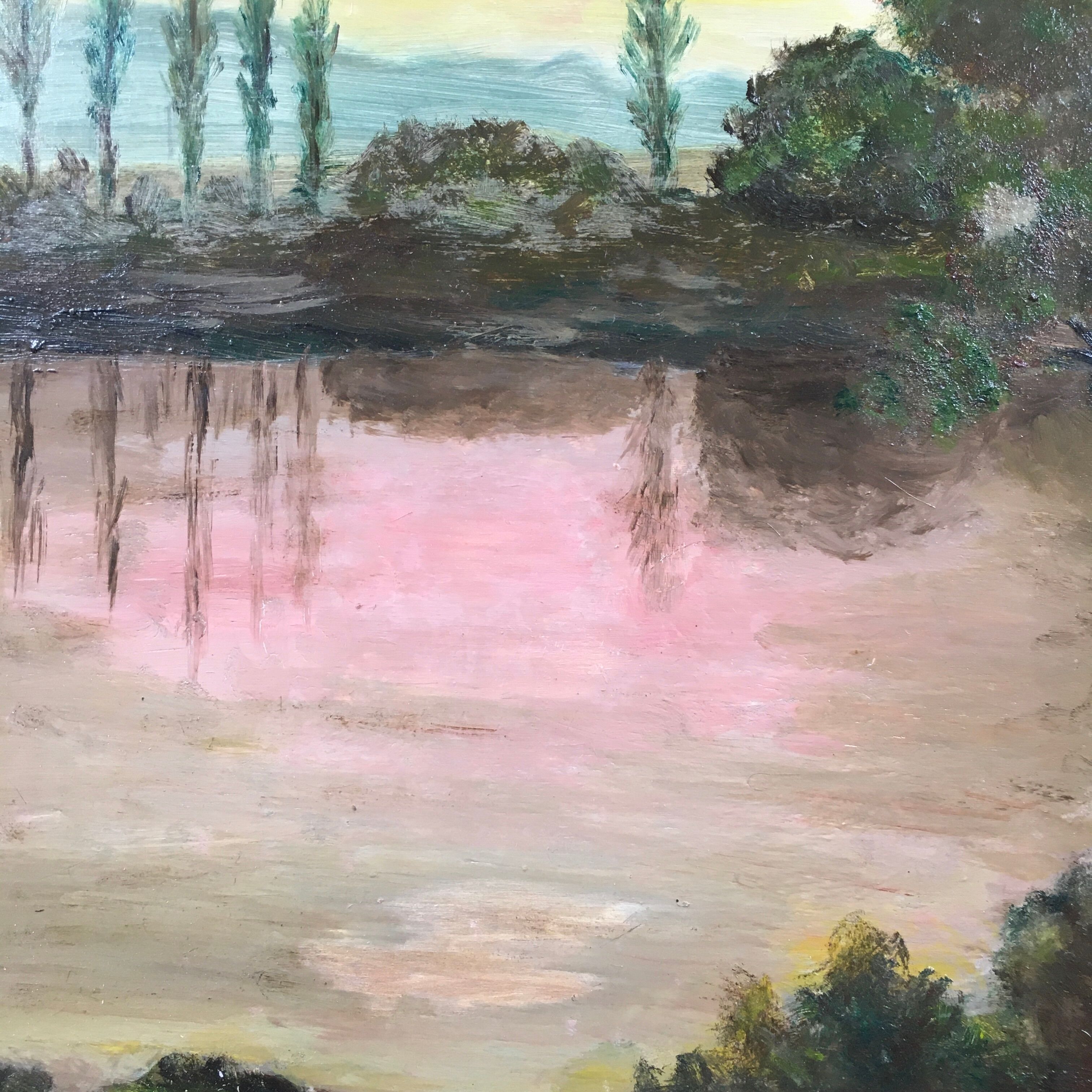 Pink lake painting