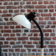80's white aluminum desk lamp