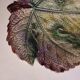 Plat céramique en forme de feuille