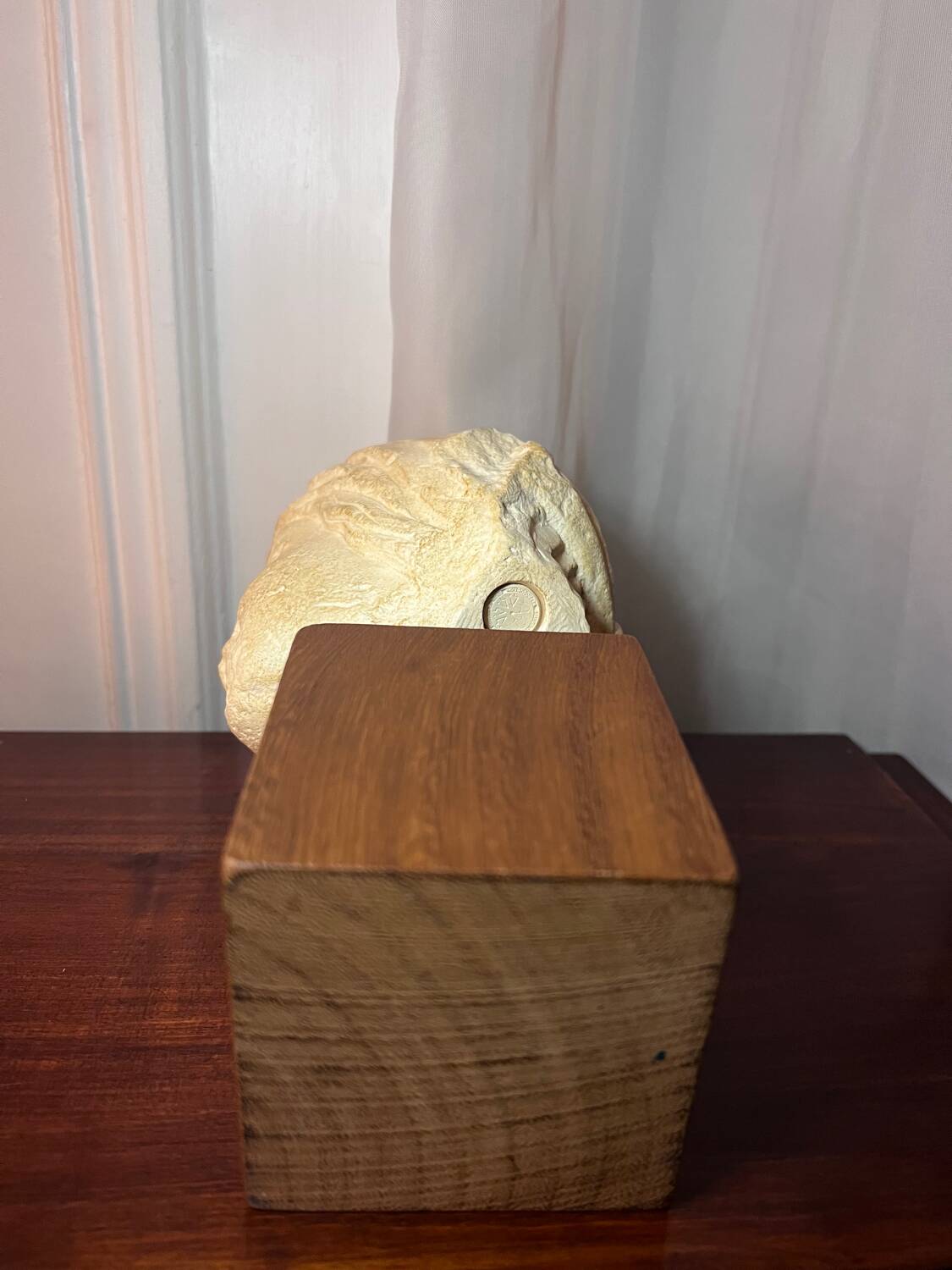 Buste - Tête de Vertu - Reproduction du musée de Sens - Moulage