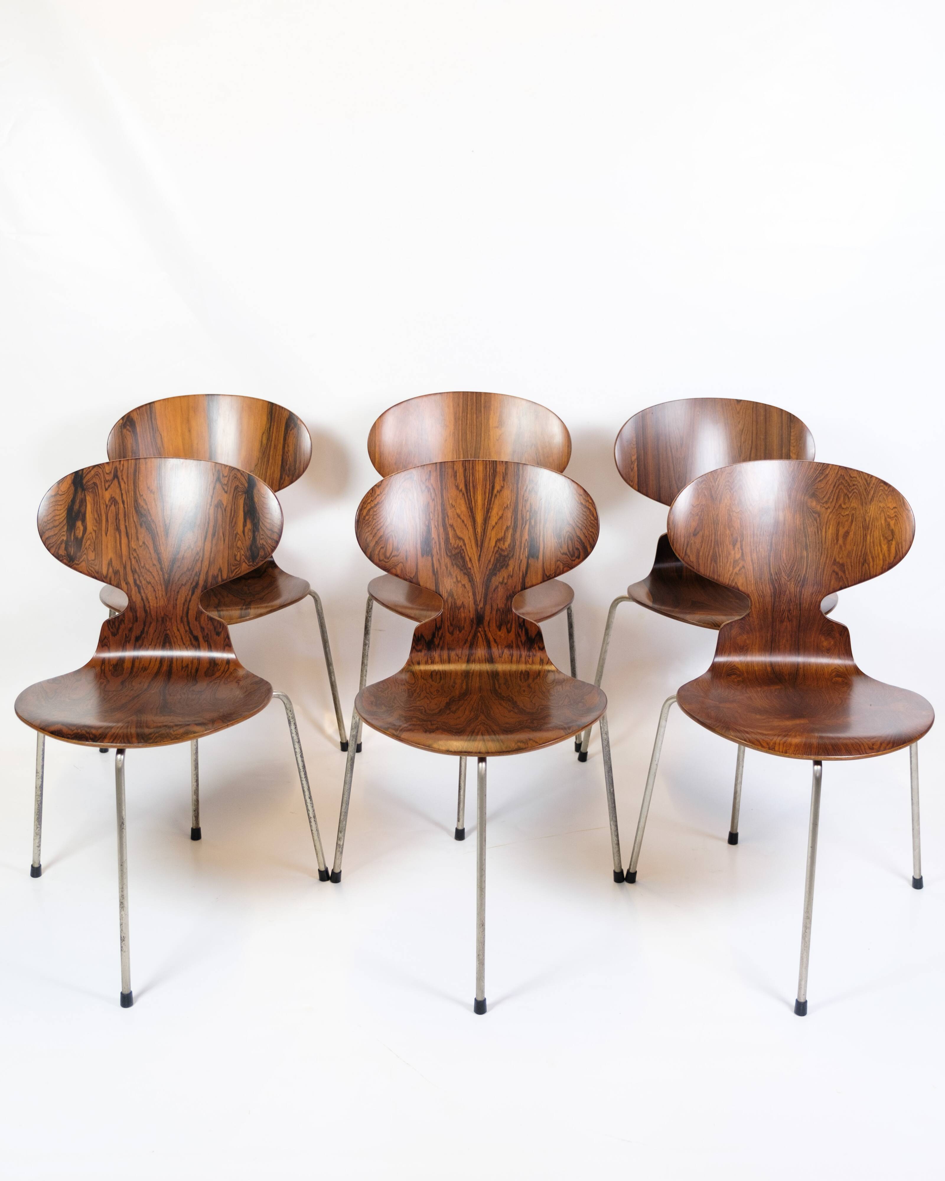 Set Of 6 Ant Chairs Model 3101 Made In Rosewood By Arne Jacobsen For Fritz Hansen From 1950s