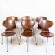 Lot de 6 chaises Ant modèle 3101 fabriquées en palissandre par Arne Jacobsen pour Fritz Hansen des années 1950