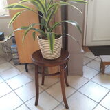 Curved wooden stool Luterma