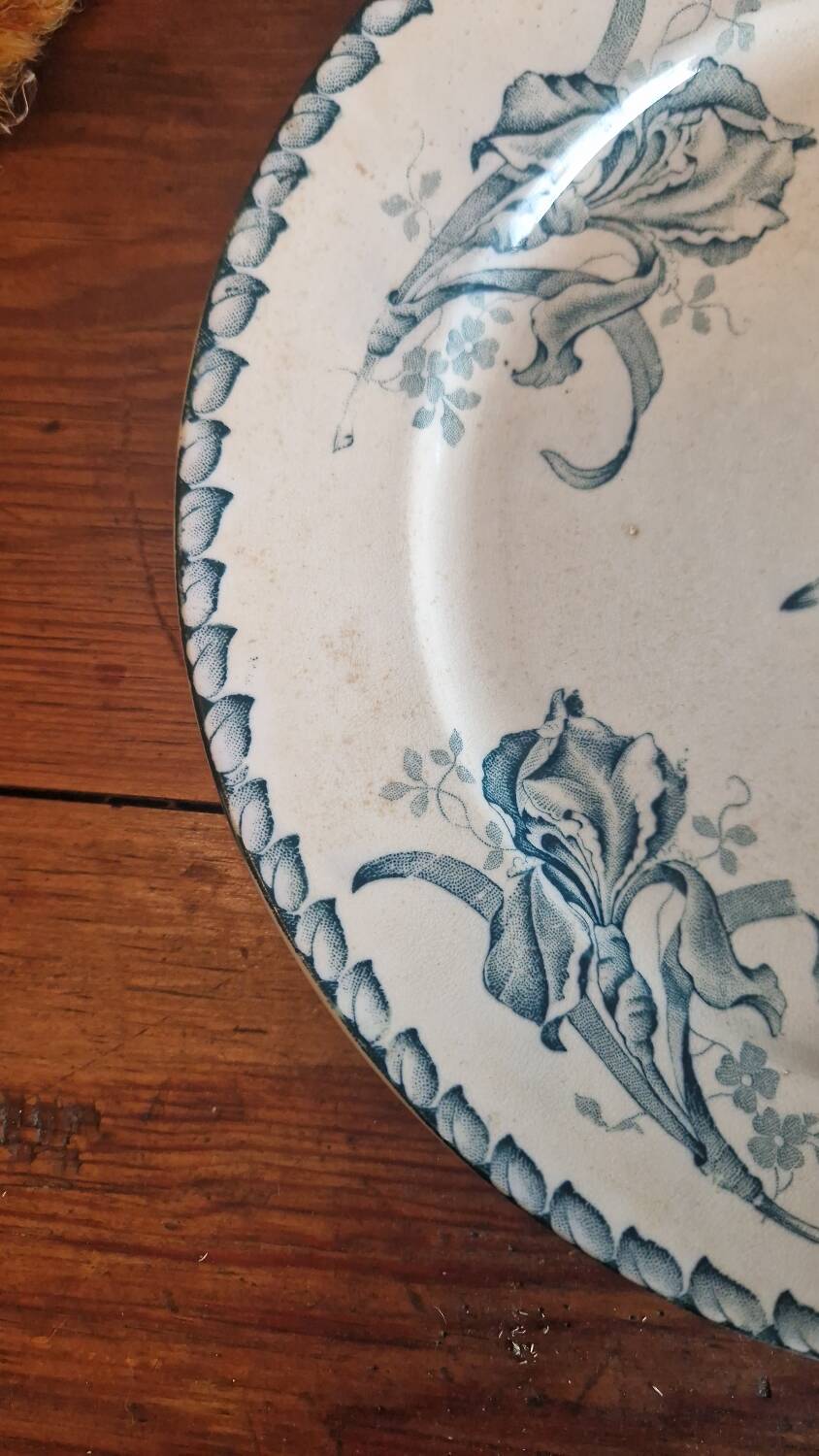 Old iron earth porcelain plate Badonviller Iris