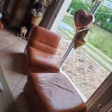 Heater and its vintage footrest rock bobois
