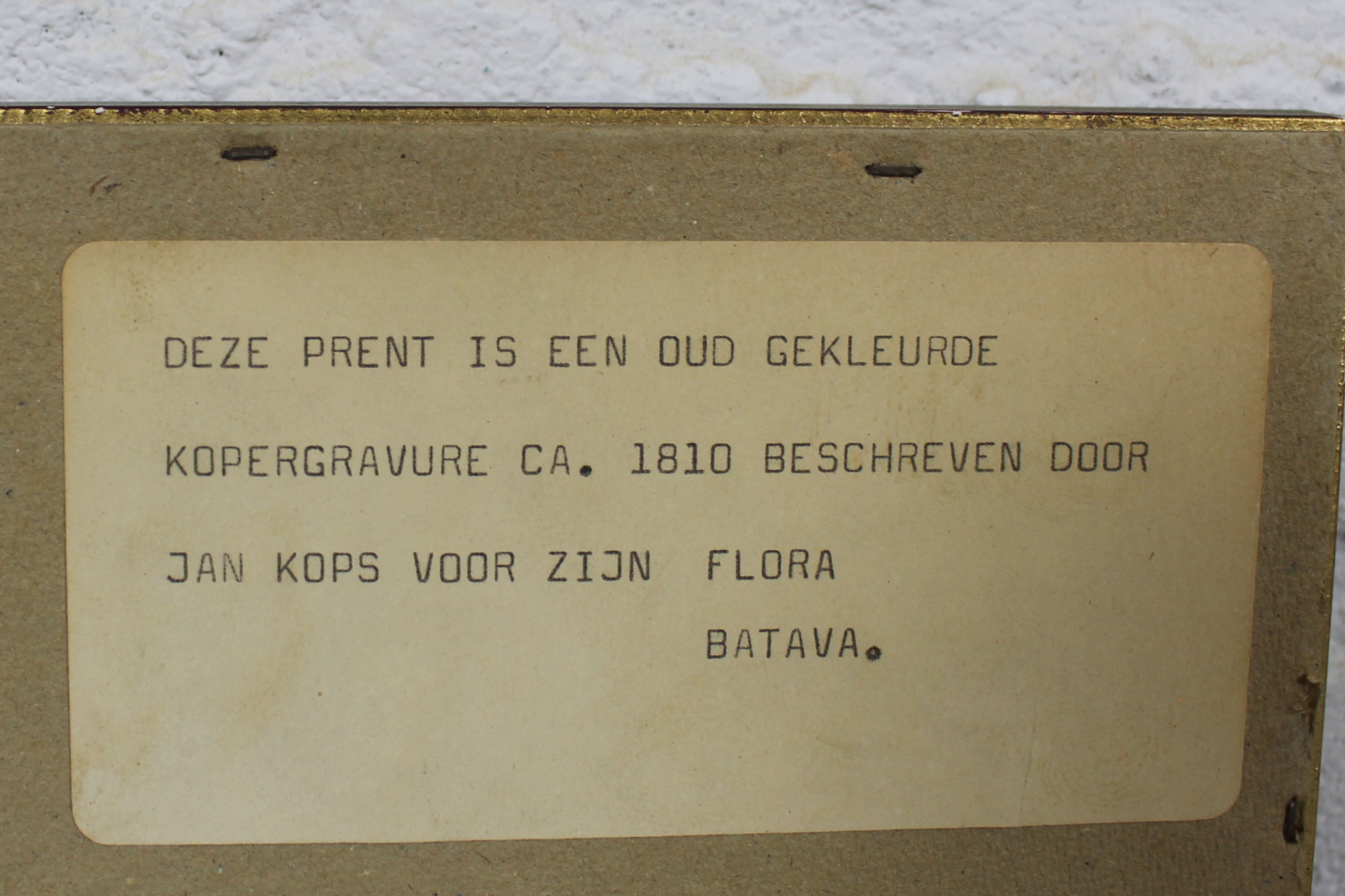 Set of 3 copperplate engravings from the famous book "Flora Batava, 1807"-1814