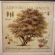 Botanical painting, arbutus trees of the maquis, XXI century