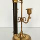 Chandelier with the Fan, the Griffins and the Rooster - Louis XVIII - Gilded brass